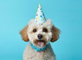 contento linda desaliñado perro celebrando con cumpleaños pastel y fiesta sombrero, azul antecedentes con Copiar espacio a lado. creado con generativo ai tecnología foto