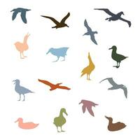 Albatross Seagull Bird Colorful Silhouette vector