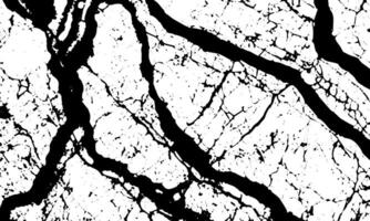 black and white marble texture vector