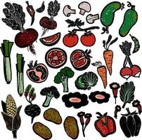 un conjunto de vegetales y frutas en varios colores vector