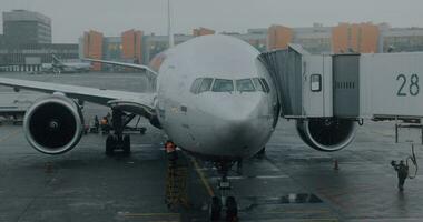 avião serviço antes embarque dentro sheremetyevo aeroporto, Moscou video