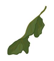 dibujos animados clipart de caído hoja. garabatear de otoño botánica atributo. contemporáneo vector ilustración aislado en blanco antecedentes.