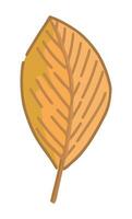 Cartoon clipart of fallen leaf. Doodle of autumn botany attribute. Contemporary vector illustration isolated on white background.