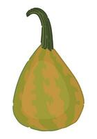 clipart de calabaza. garabatear de otoño agrícola cosecha. dibujos animados vector ilustración aislado en blanco antecedentes.