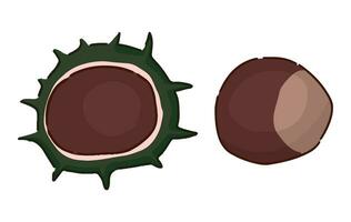 Clipart of chestnuts. Doodles of autumn forest harvest. Cartoon vector illustration isolated on white background.