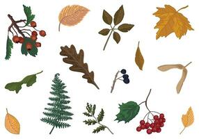 Set of autumn botany attributes. Doodles of fallen leaves, berry twigs. Cartoon vector illustrations collection isolated on white background.