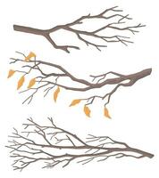 Set of bare branches. Doodles of leafless tree twigs. Cartoon vector illustrations collection isolated on white background.