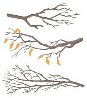 Set of bare branches. Doodles of leafless tree twigs. Cartoon vector illustrations collection isolated on white background.