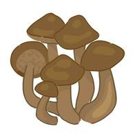 Clipart of edible mushroom honey fungus. Doodle of autumn forest harvest. Cartoon vector illustration isolated on white background.