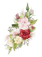 Watercolor arrangement with beautiful rose bouquet vector