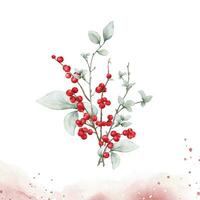 Watercolor berries branches on stain background vector