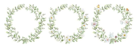 Set of watercolor wreaths with flowers leaves and butterflies vector