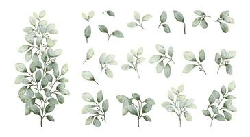 Set of watercolor botanical small leaves elements vector