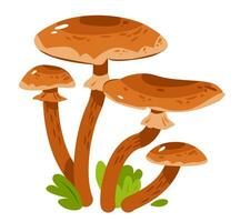 Edible mushroom. Cartoon vector illustration.