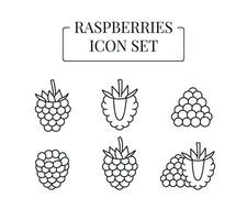 Raspberry berry whole and half, cut into slices, set of line icons in vector