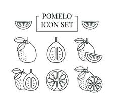 Pomelo fruit whole and half, cut into slices, set of line icons in vector. vector