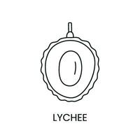 lychee línea icono en vector, Fruta ilustración. vector