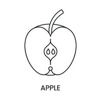 Apple line icon in vector, fruit illustration. vector