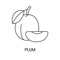 Plum line icon in vector, fruit illustration. vector