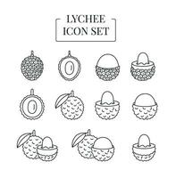 Lychee fruit whole and half, cut into slices, set of line icons in vector