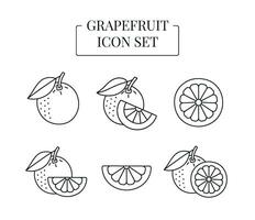 Fruit Grapefruit whole and half, cut into slices, set of line icons in vector