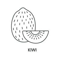 Kiwi line icon in vector, fruit illustration. vector