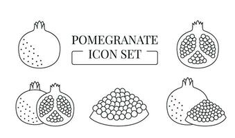 Fruit Pomegranate whole and half, cut into slices, set of line icons in vector. vector