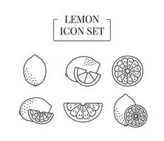 Fruit Lemon whole and half, cut into slices, set of line icons in vector