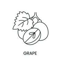 Grapes line icon in vector, berry illustration vector