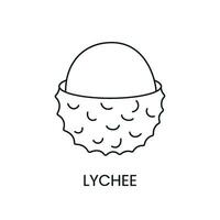 lychee línea icono en vector, Fruta ilustración. vector