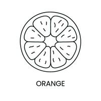 Orange line icon in vector, citrus fruit illustration vector