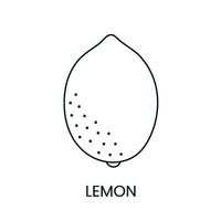 Lemon line icon in vector, citrus fruit illustration vector
