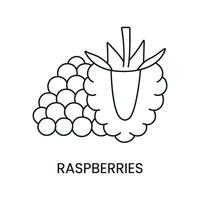 Raspberry line icon in vector, berry illustration vector