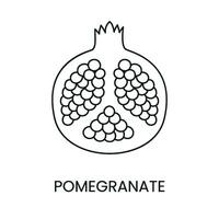 Pomegranate line icon in vector, fruit illustration vector