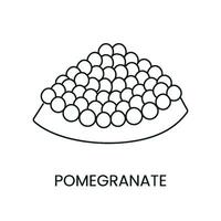 Pomegranate line icon in vector, fruit illustration vector
