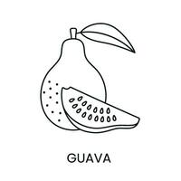 guayaba línea icono en vector, Fruta ilustración. vector