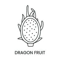 Pitahaya line icon in vector, dragon fruit illustration vector