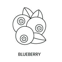 Blueberry line icon in vector, berry illustration vector