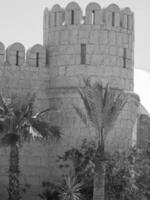 the city of tunis photo