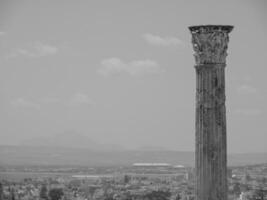 tunis at the mediterranean sea photo