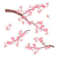 sakura símbolo de primavera. Boda antecedentes. japonés vector ilustración en anime estilo. Cereza florecer rama aislado en un blanco antecedentes. clipart para invitaciones