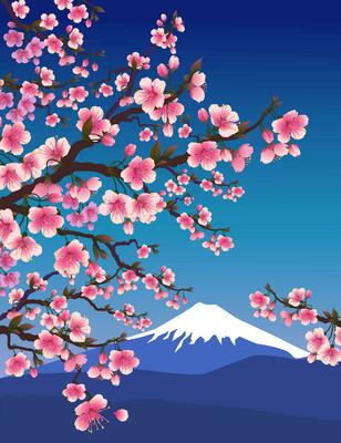  Peak - sakura Peak Taichi Flash 3 - Cherry Blossoms – Anto Sports