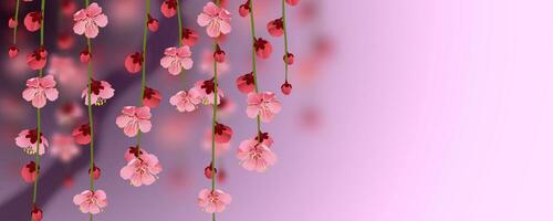 Hanging branches of Sakura on a purple background. Designer cherry blossom banner with blur effect. Realistic vector graphics of pink flowers.