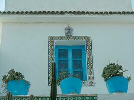 the city of Tunis photo