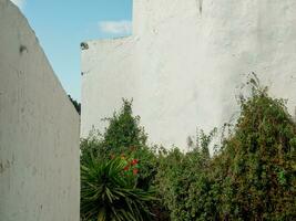 the old city of  Tunis photo