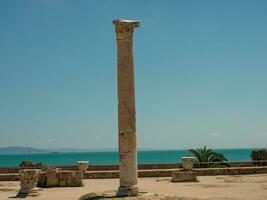 the city of Tunis in africa photo