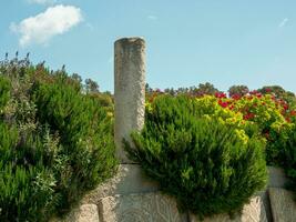 tunis city in tunisia photo