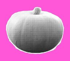 Vector halftone autumn pumpkin. Illustration of collage halftone fall pumpkin vegetable. Trendy retro 90s halftone thanksgiving pumpkin on pink background.