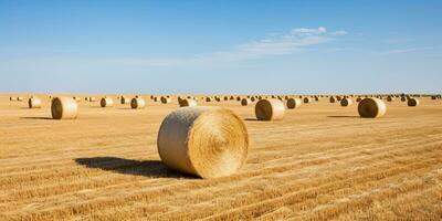 AI Generated. AI Generative. Autumn countryside harvest farming round bales stack. Outdoor nature landscape. Graphic Art photo