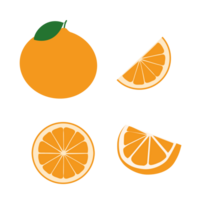 Fresh orange fruits, flat illustrations png